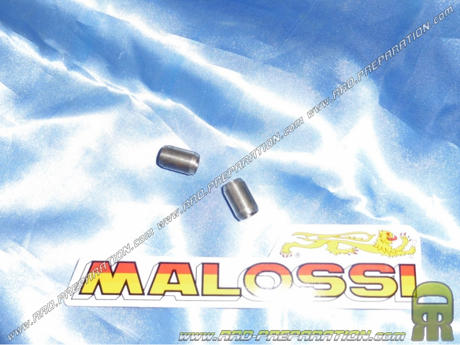 Pareja de silentblock Ø24 x 10,5mm para carcasa MALOSSI C/ RC -ONE