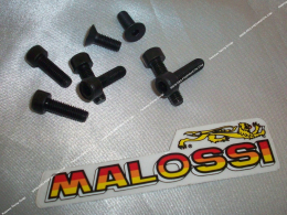 Screw set for cache...