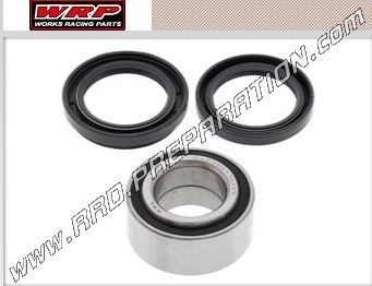 Arctic Cat 375 2x4 ATV Rear Wheel Bearing Kit 2002