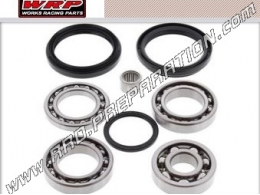 Bearing and differential seal kit for quad A RC TIC CAT XT, H2, TRV, XTZ 700, 1000cc from 2009