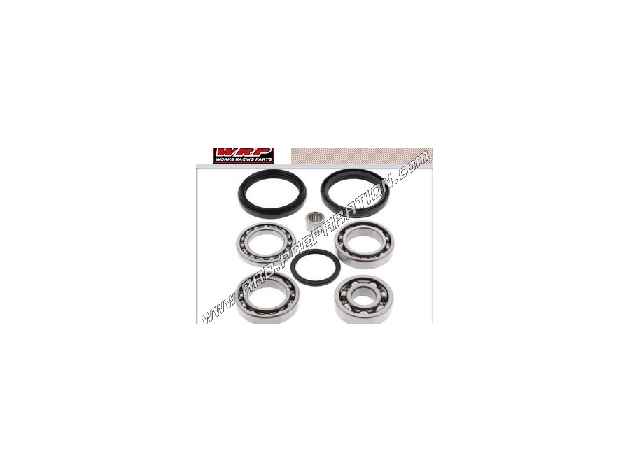 Bearing and differential seal kit for quad A RC TIC CAT XT, H2, TRV, XTZ 700, 1000cc from 2009