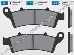 Pastillas de freno POLINI para scooter APRILIA ATLANTIC, KYMCO DOWNTOWN, MALAGUTTI MADISON, PEUGEOT LOOXOR 125, 250, 300, 500..