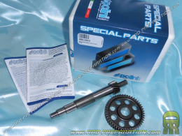 Carter Transmission Piaggio NRG Typhoon Zip - POLINI Gear Box Evo Axe 12mm  /// en Stock sur BIXESS™