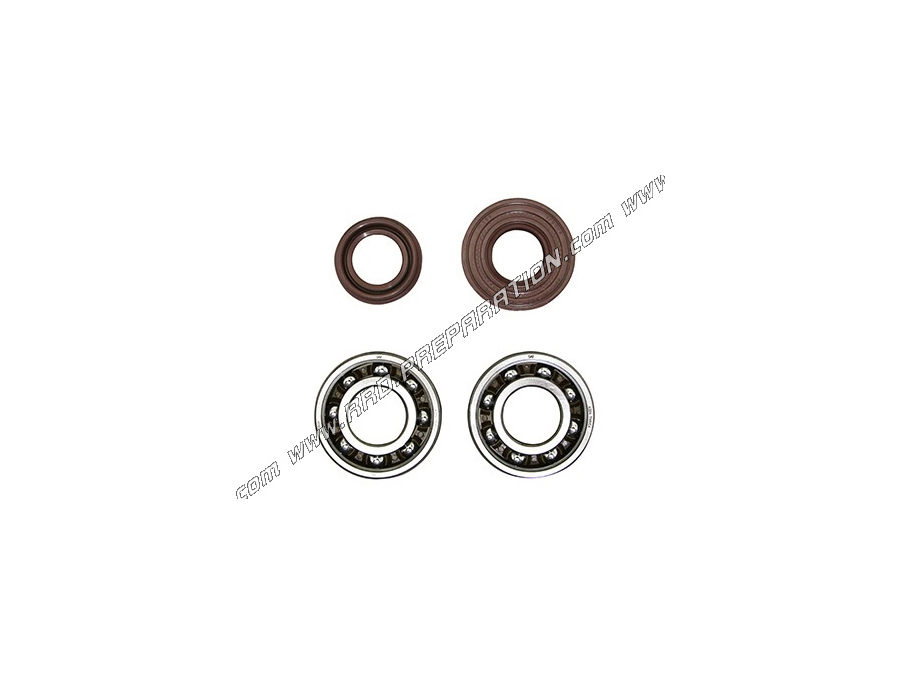 Reinforced crankshaft bearing kit C4 riveted steel cage + spy P2R minarelli scooter (booster, bws, nitro,...)