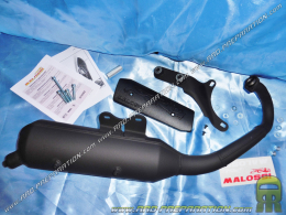 Exhaust MALOSSI LION WILD scooter PIAGGIO / GILERA (Typhoon, NRG ...)