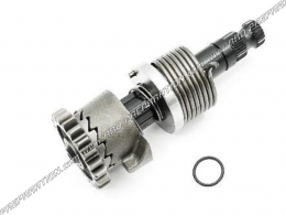 Complete TOP PERFORMANCES kick axle kit with core, rock, spring for MINARELLI AM6
