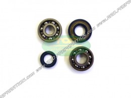 Reinforced crankshaft bearing kit + spy TOP PERFORMANCES scooter VESPA PK, RUSH, XL, XLS, APE... 50 2T