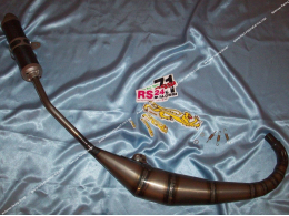 Exhaust MALOSSI MHR GP80cc low passage for minarelli am6 RIEJU RS2