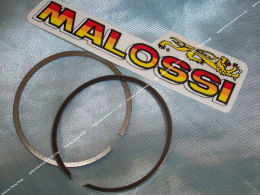 Pair of 2 "chrome" segments for MALOSSI aluminum kit Ø47mm