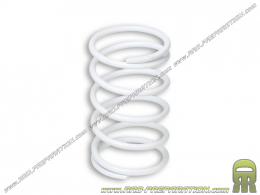 MALOSSI thrust spring white 8.9k maxiscooter APRILIA , MALAGUTTI, PEUGEOT , PIAGGIO ,...