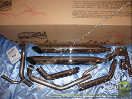 Exhaust LEOVINCE SILVERTAIL K02 for motorcycle HYOSUNG AQUILA GV 650 from 2005 to 2011