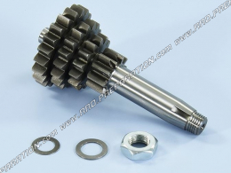 POLINI re-stage primary gears for VESPA 50 and 125 2T 4-speed