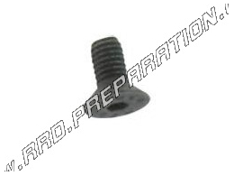 Screw Ø5mm X L.10mm CGN hexagon socket BTR for kick box MBK 51, MAGNUM, MR1, XR ...