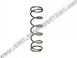 Valve spring for GURTER carburetors type AR2-12, 705, 702, MBK, MOTOBECANE ...