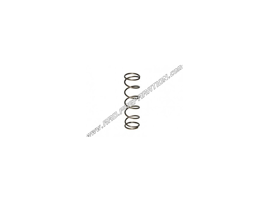 Valve spring for GURTER carburetors type AR2-12, 705, 702, MBK, MOTOBECANE ...