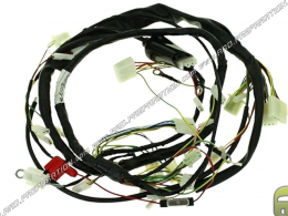 CGN Complete Electrical Harness for DERBI SENDA, RX50, SMT, RCR 2006 ... EURO 3