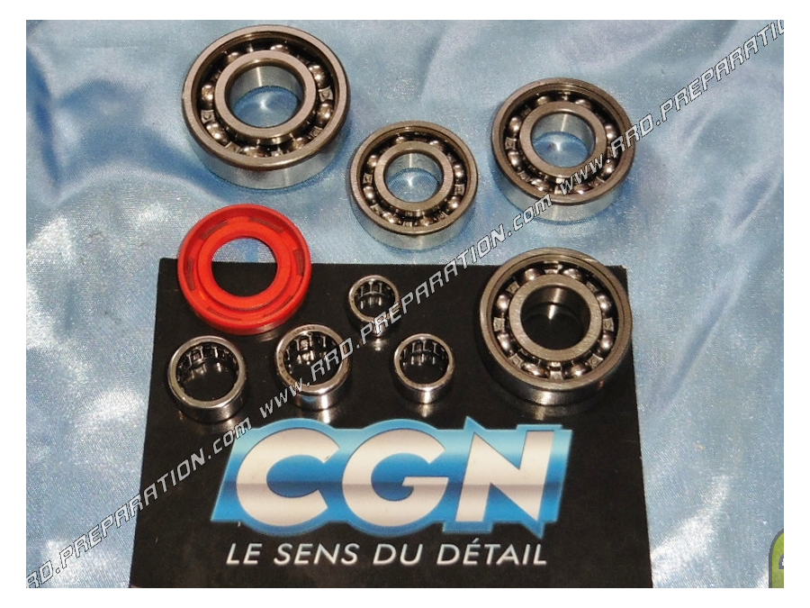 Kit of CGN gearbox bearings on mécaboite 50cc for AM6
