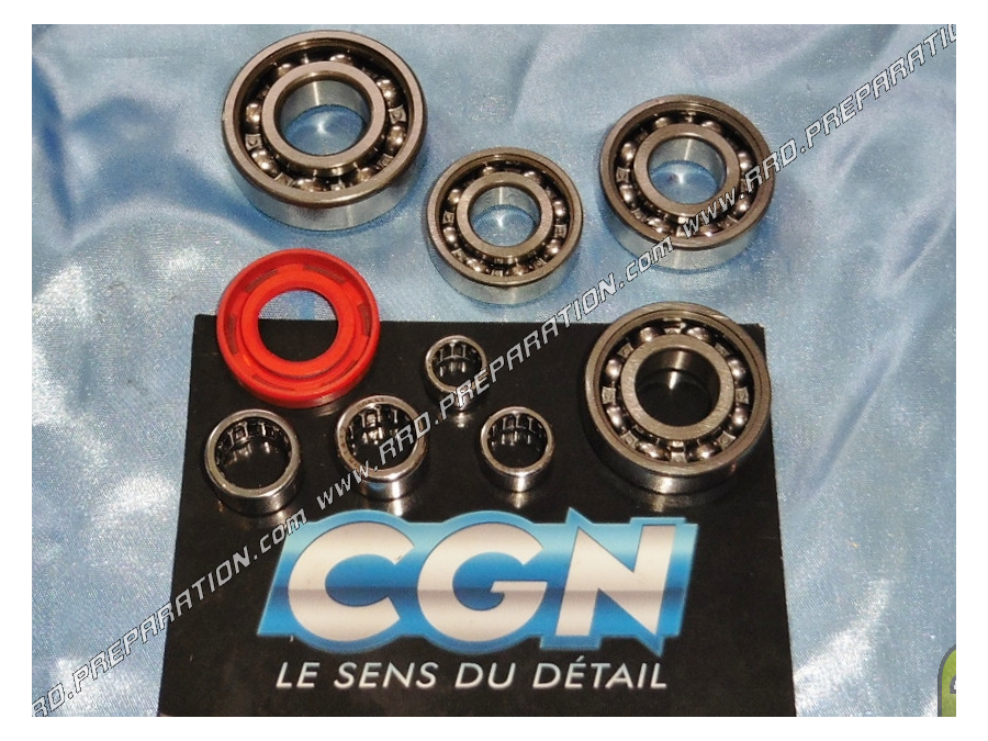 CGN gearbox bearing kit on mécaboite 50cc for AM6