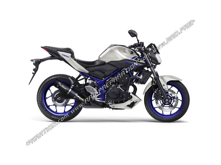 Línea de escape completa LEOVINCE GP CORSA EVO para moto YAMAHA MT-25 de 2015 a 2020