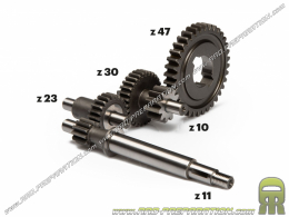 Transmisión primaria corta 13:1 HTQ MALOSSI para ciclomotor PIAGGIO ciao y otros modelos