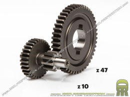 Transmission secondaire MALOSSI 10 / 47 pour pose de la transmission courte sur PIAGGIO CIAO avec variateur