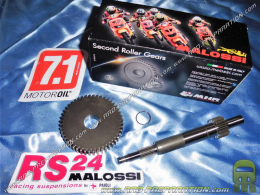 Elongated primary transmission 14/48 MALOSSI for scooter PIAGGIO Typhoon, APRILIA SR, DERBI Variant, ...