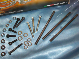 Kit de tornillería (tornillos, espárragos, arandelas, tuercas) completo para carcasas MALOSSI en PIAGGIO Ciao