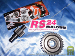 Transmission secondaire allongée 15 - 41 MALOSSI pour scooter PIAGGIO ZIP, TYPHOON, HEXAGON...125cc 2T