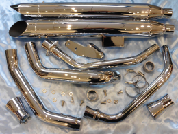 LEOVINCE SILVERTAIL K02...