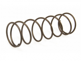 DELLORTO valve spring for...