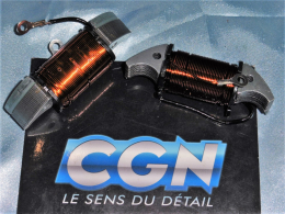 Paire de bobines d'allumage...