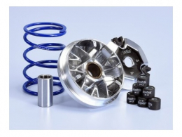 POLINI HI SPEED variator...