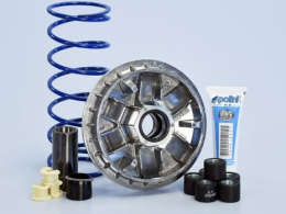 POLINI variator for maxi...