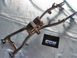 Gray or chrome CGN swingarm...