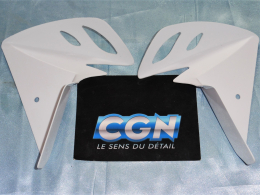 § Paire de cache moteur BCD...