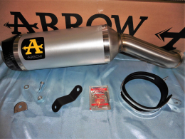 Silencieux d'échappement ARROW THUNDER CARBON pour Kawasaki Z 900 2020