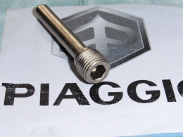 Axe de fixation d'étrier de frein PIAGGIO pour tout maxiscooter PIAGGIO
