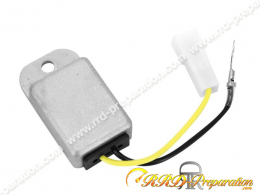Voltage regulator P2R 6V...