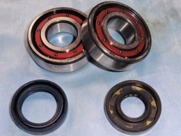 Set of 2 bearings...