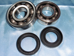 2 reinforced bearings +...
