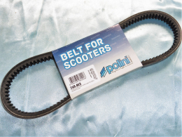 POLINI Racing Belt KEVLAR...