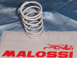 White MALOSSI thrust spring...