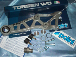 TORSEN WD swingarm...