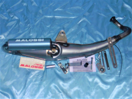 MALOSSI FLIP exhaust for...