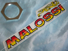 MALOSSI MHR 28X1X4 clutch...