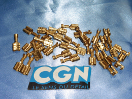 10 terminales CGN hembra...