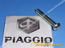 Domed BTR screw PIAGGIO...
