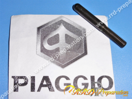 PIAGGIO rear master...