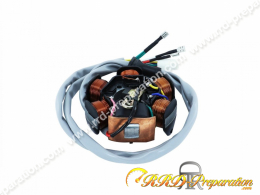 Stator + P2R cables with...