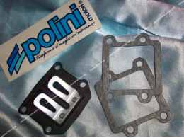 Check valves POLINI carbon...